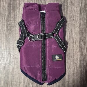 DoggyKingdom Winter Jacket For Dogs Small